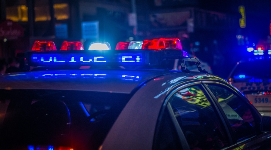 Man arrested in rome over €50m forex and crypto scam targeting german investors: report