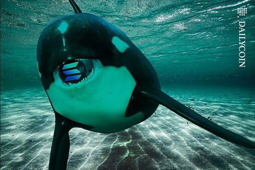 Solana orca’s $26m long sol price play dwindles $2.7m!