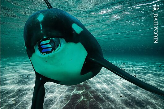Solana orca’s $26m long sol price play dwindles $2.7m!