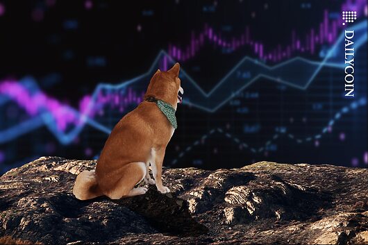 Oversold shiba inu screams rebound: levels to watch