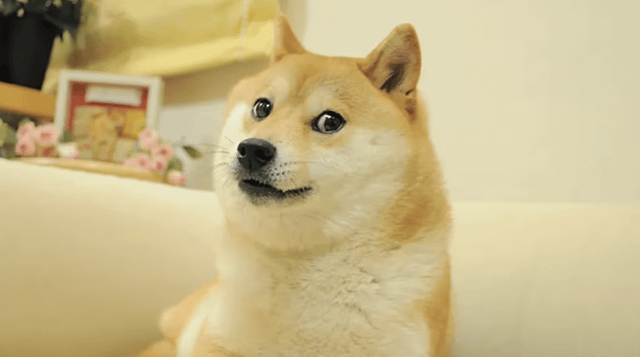 21shares launches leveraged dogecoin etf as falconx acquisition finalizes