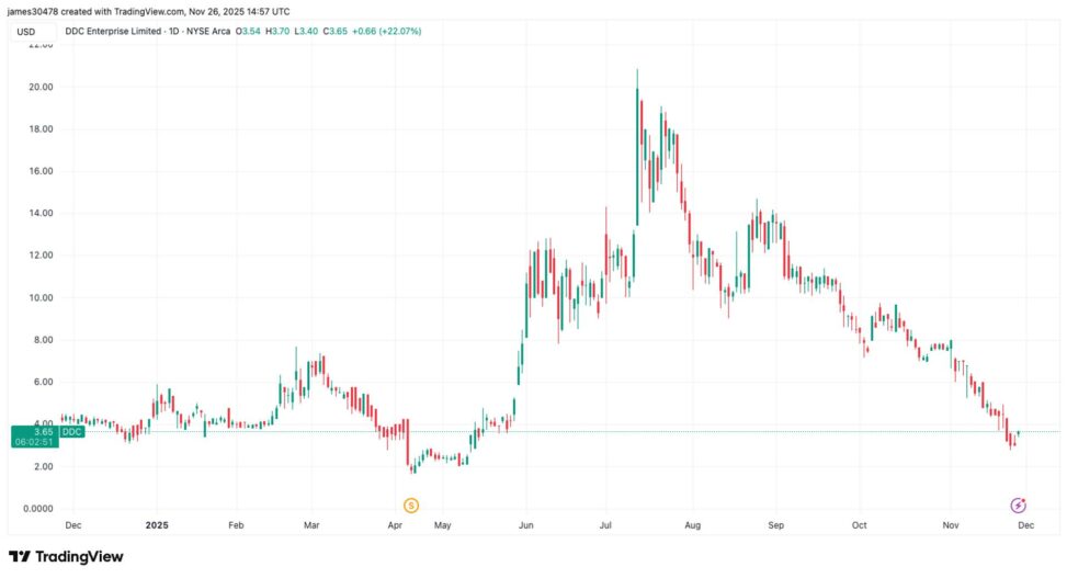 Bitcoin treasury firm ddc jumps 22% as company adds 100 btc to treasury during market pullback