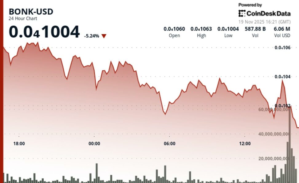 Bonk extends slide as key support break raises prospect of further downside