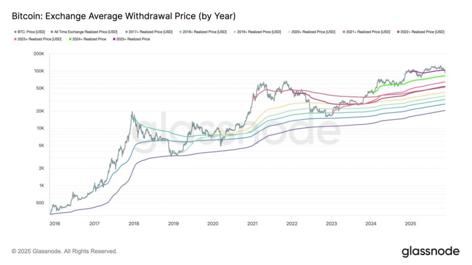 Bitcoin correction mirrors april drop as 2025 buyers fall into the red