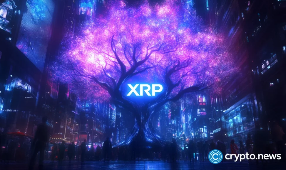 Xrp etf buzz grows as franklin templeton and bitwise eye november launch