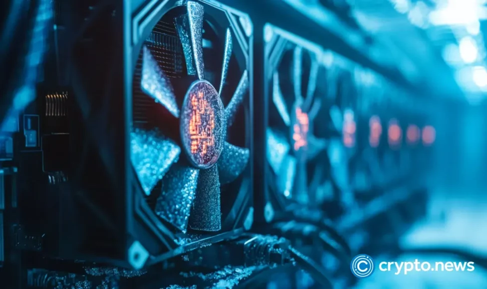 Elon musk fuels doge boom; mint miner launches $5,900 a day cloud contract