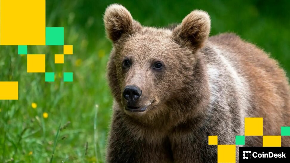 Btc market now 'extremely bearish,' says qcp: asia morning briefing