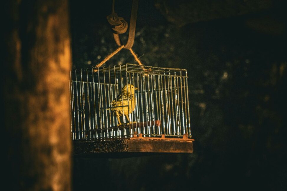 The canary in the coalmine: crypto daybook americas