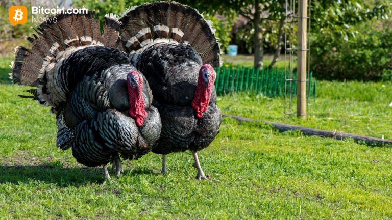 Here’s why bitcoin is rallying just before thanksgiving