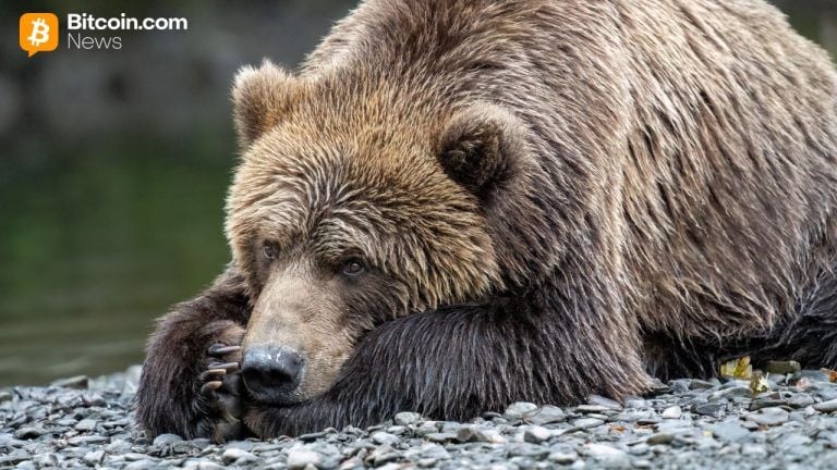 Van eck: investors shed bitcoin bracing for a bearish 2026