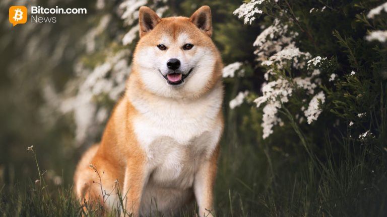 Doge launches lazarus signal, rebukes disbandment reports
