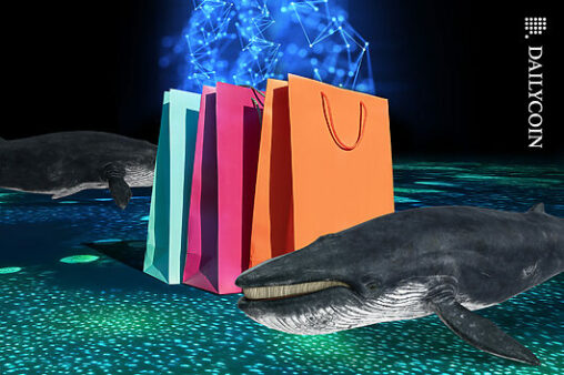 Bitcoin’s big turn: from exchange selling to whale accumulation