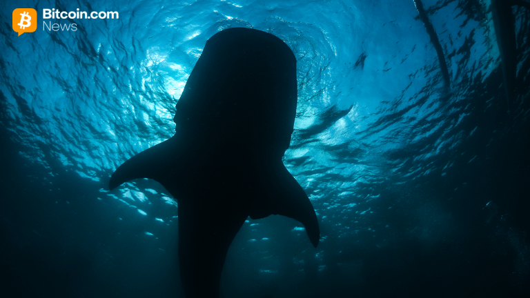 Onchain analyst: long sleeping bitcoin whale resurfaces, shifting 2,300 btc to paxos wallet
