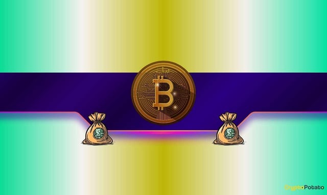 Bitcoin drops 30% from ath: analyst warns the real bottom may be far lower