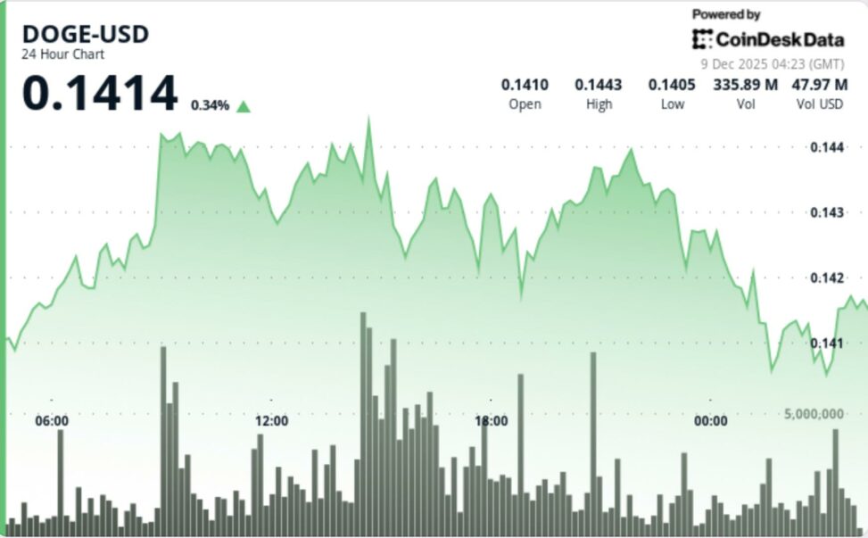 Dogecoin holds $0.14 floor as network activity hits 3 month high