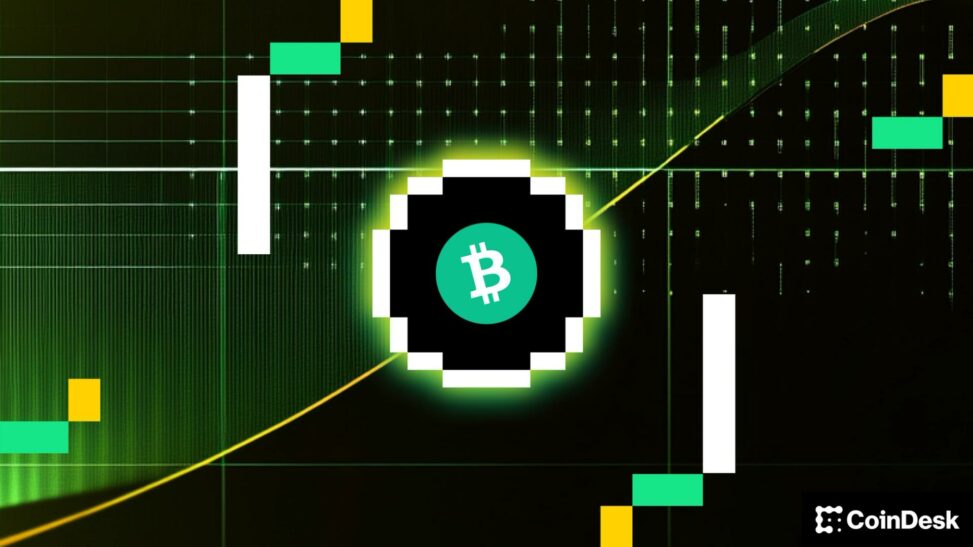 Bitcoin's volatility meltdown: crypto daybook americas