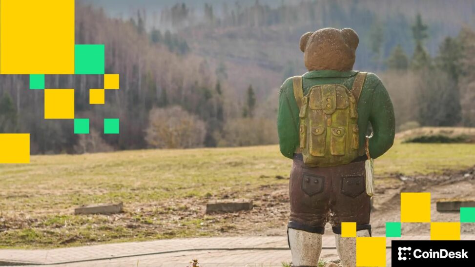 Latest bitcoin bull turns bear, fidelity director warns of year long crypto winter