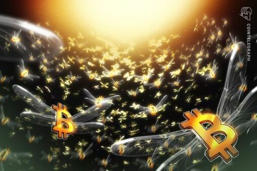 2,000 bitcoin on the move: rare casascius coins awaken after 13 years