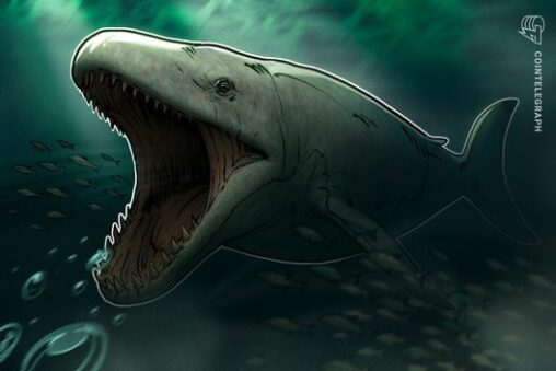 The whale awakening: why dormant crypto giants are suddenly back in motion