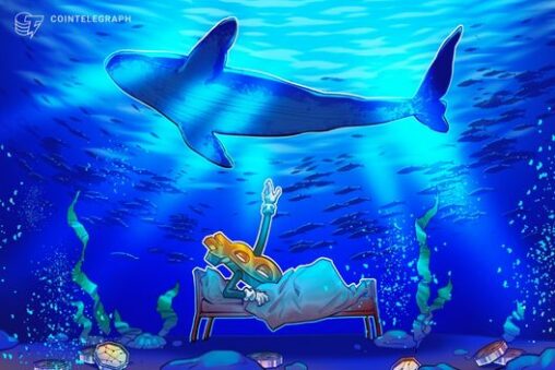 Bitcoin due 2026 bottom as exchange volumes grind lower: analysis