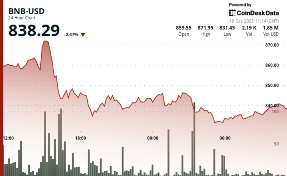 Bnb holds onto fourth largest crypto spot even as price falls, selling pressure builds