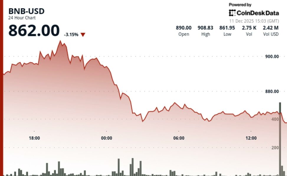 Bnb drops below $865 as crypto market moves lower