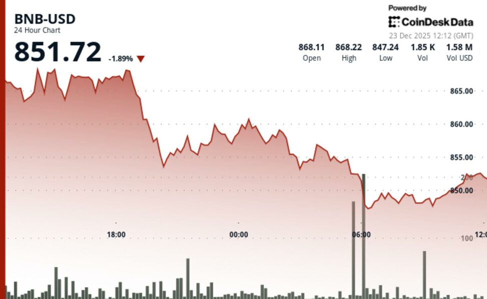 Bnb slips toward $850 as market pullback weighs on token