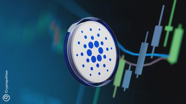 Cardano targets enterprise adoption with measurable gains