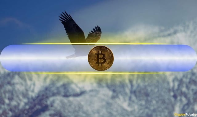 Bitcoin (btc) looks weak, but bitwise says new highs are coming in 2026
