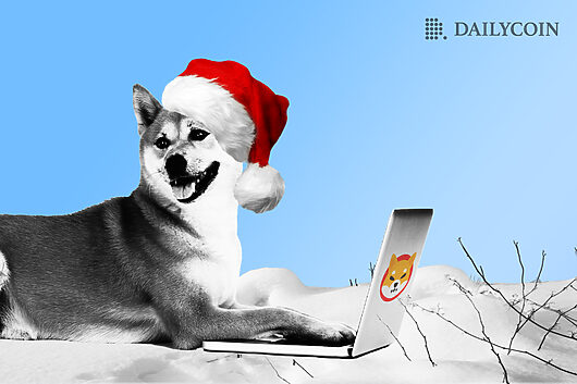 Shiba inu sends christmas cheers, price takes winter nap