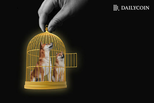 Shib just drained exchanges dry: supply shock loading?