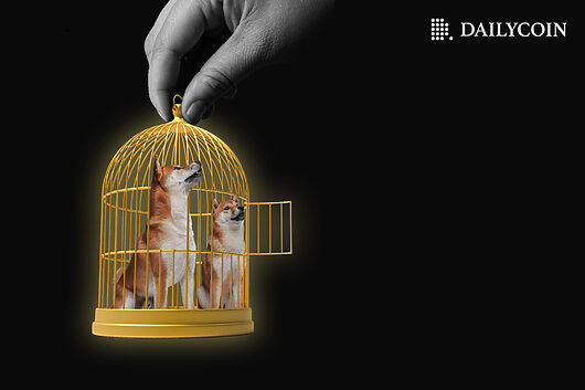 Shib just drained exchanges dry: supply shock loading?