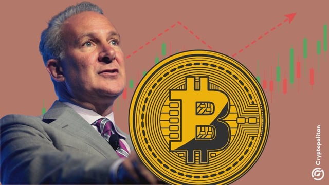 Peter schiff warns bitcoin could reverse as silver’s historic rally accelerates