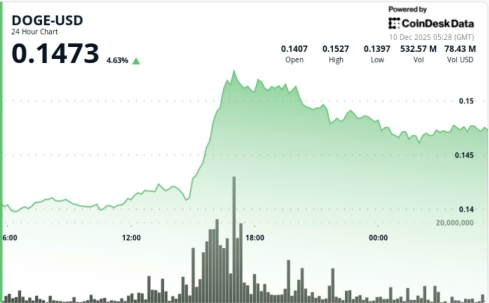 Breakout or bull trap? doge jumps above resistance on ethereum strength