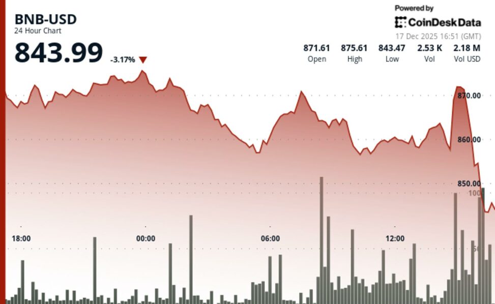 Bnb drops nearly 3% to as bitcoin whipsaw and tech selloff hit crypto market