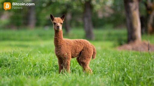 Kraken expands alpaca partnership to boost global tokenized equities adoption