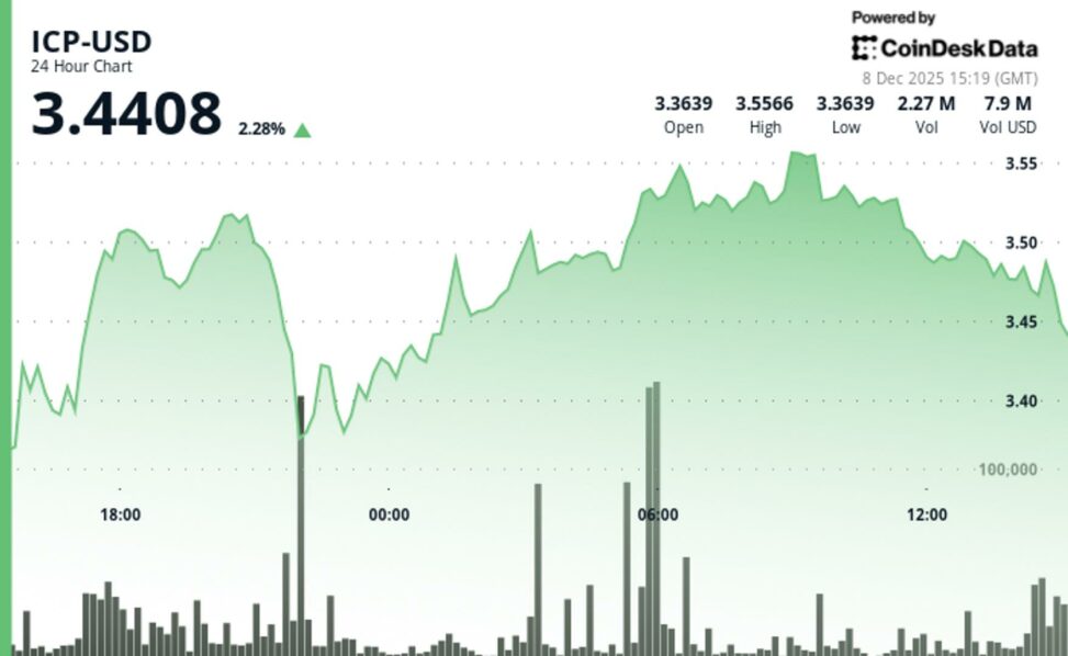 Icp rises, keeping price above key support levels