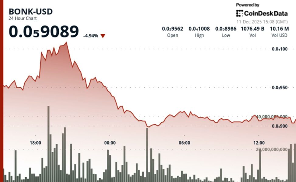 Bonk extends slide as resistance rejection pushes token back toward support