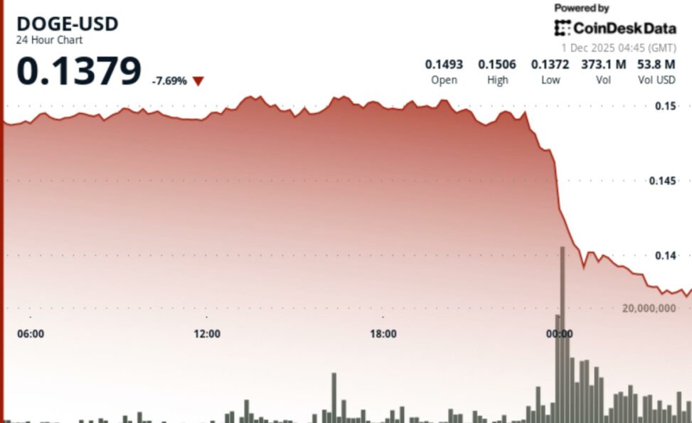 Dogecoin slumps 9% amid bitcoin weakness. is a larger dump coming?