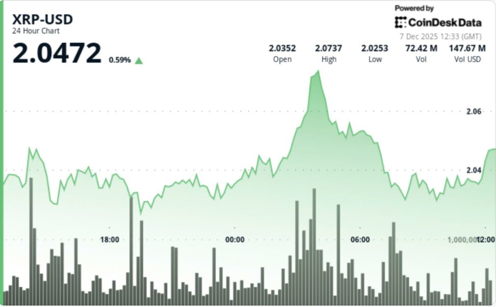 Xrp sentiment hits extreme fear as td sequential flashes early reversal signal