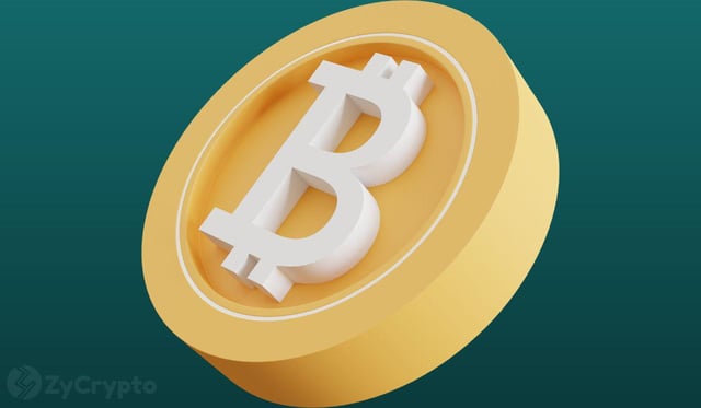 Bitcoin enters december with mixed signals as miner stress and whale accumulation create tug of war