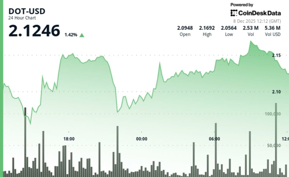 Polkadot's gain underperforms wider crypto markets