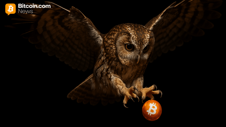 ‘bitcoin after dark’ etf lands at sec as nicholas wealth unveils night only strategy