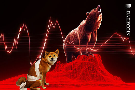 Shiba inu’s multiple oversold bottoms spell price troubles