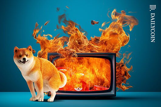 Shiba inu’s burns jump 148%: can deflation offset selling?