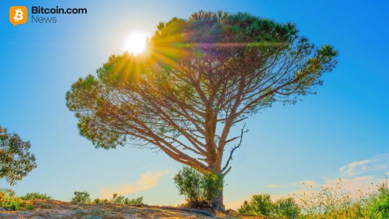 Wisdomtree launches tokenized equity options strategy fund for crypto native investors