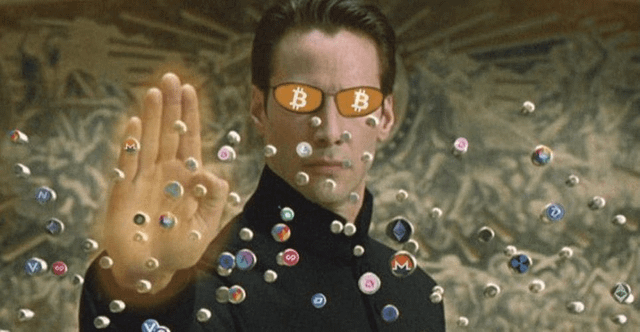 After 5 years riding altcoins… i think i'm finally becoming a btc maxi