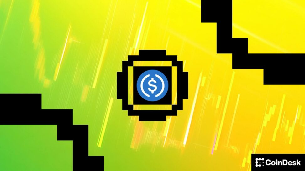 Top stablecoins shrink as crypto cash flees, posing risk to bitcoin's bounce