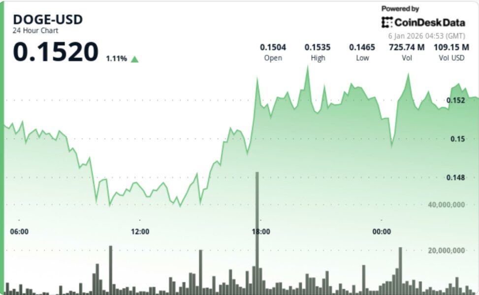 Dogecoin 2x etf tops early 2026 leaderboard as doge prints v shaped rebound
