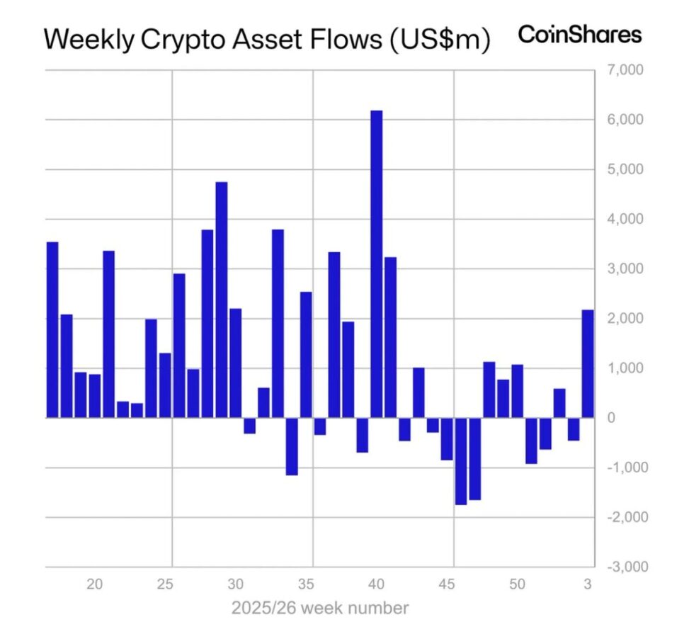 Bitcoin, ether, solana and xrp extend etf inflow streak before reversal